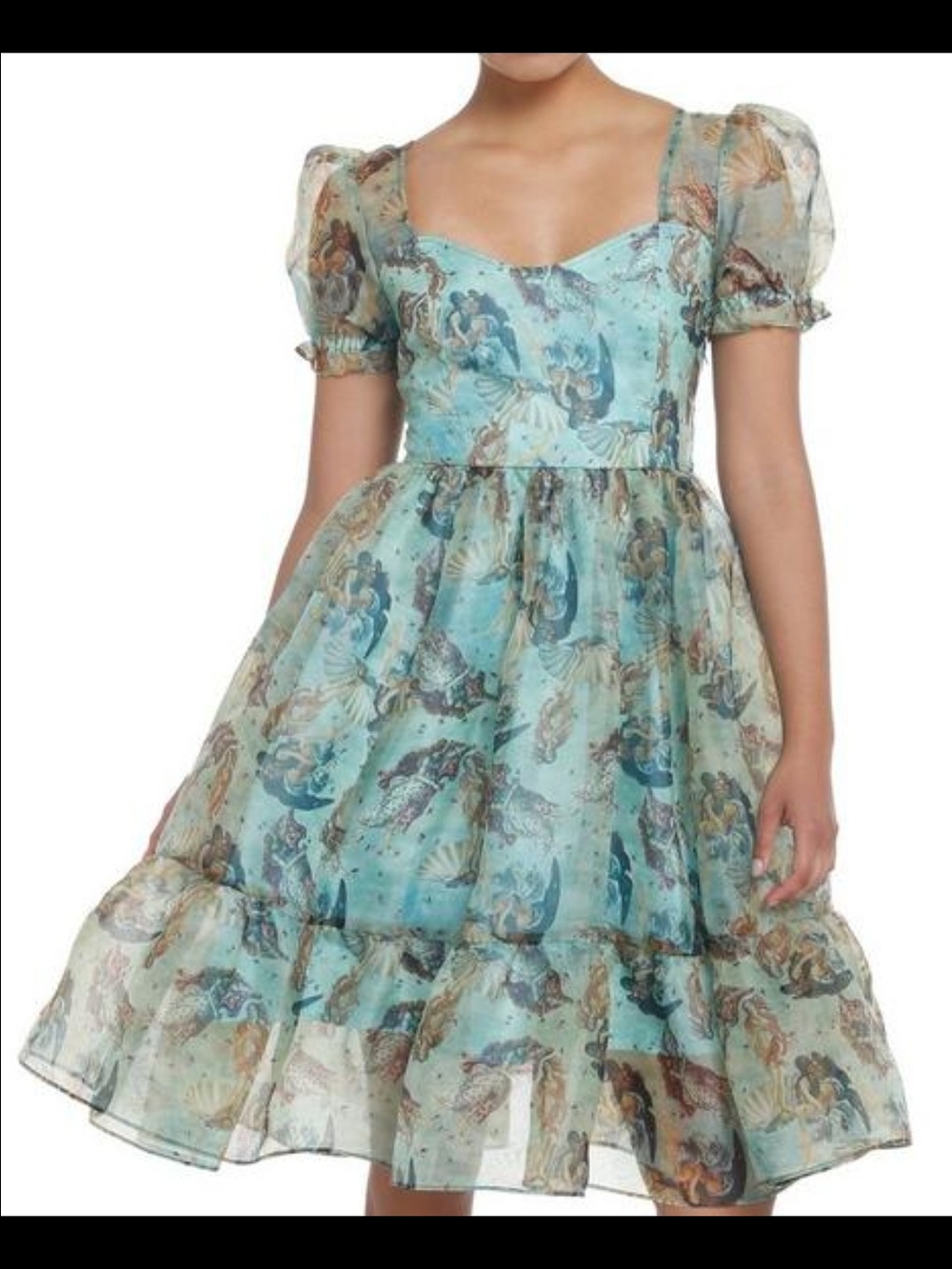 Thorn & Fable The Birth Of Venus Mesh Puff Sleeve Dress